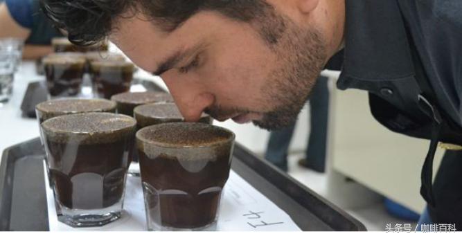 小白如何在咖啡馆点咖啡?常见菜单里咖啡种类讲解
