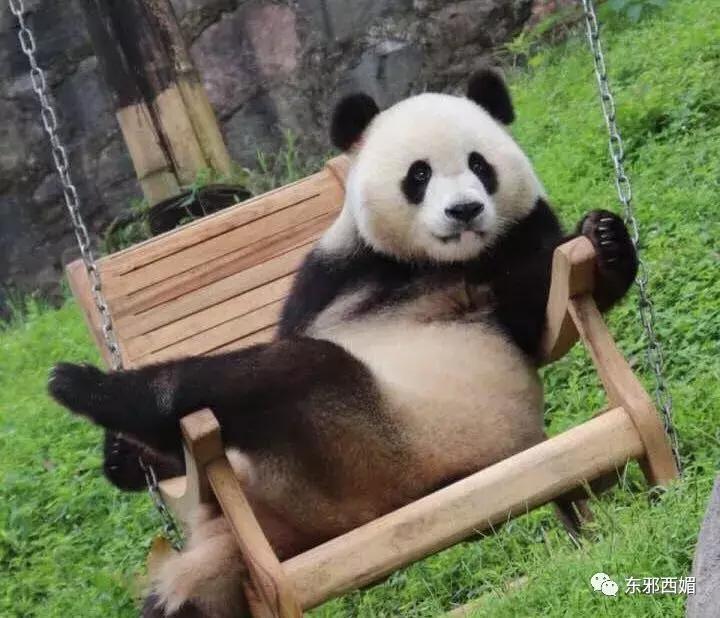 男友威胁用亲密视频毁了她，这样的渣男不是畜生是什么？