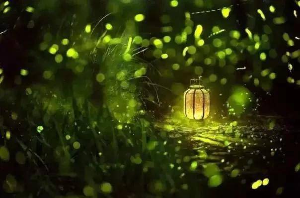 出去人从众,玄武为你安排了身边的风景