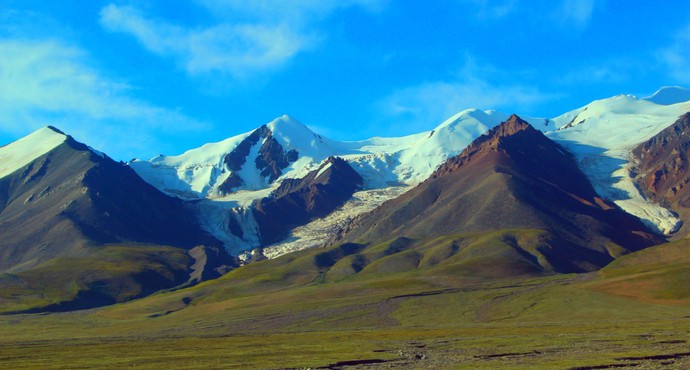 适合带着去旅行的宠物,宠物旅行攻略如何带宠物出门旅游