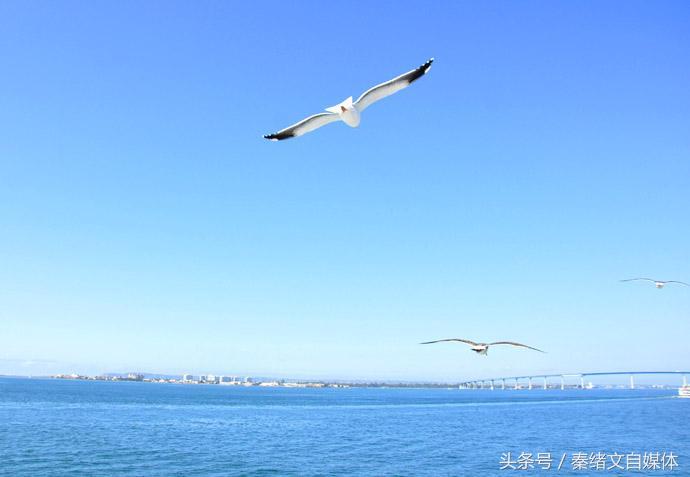 怎么样才能快速爆文,爆文有哪些基本的要素