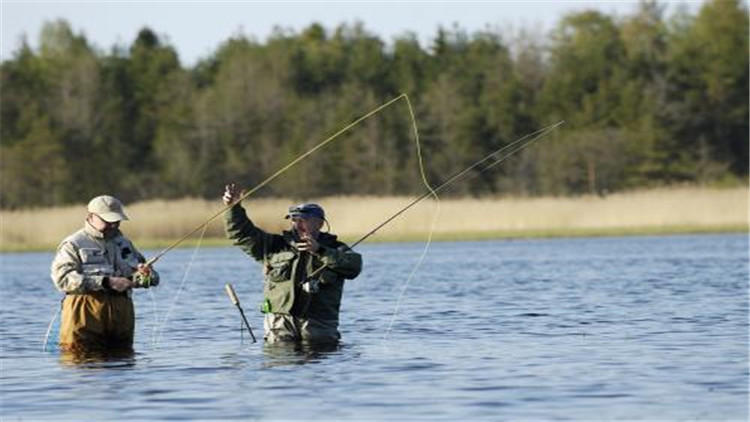 如何做到一顿口就中鱼？从这5点来聊聊