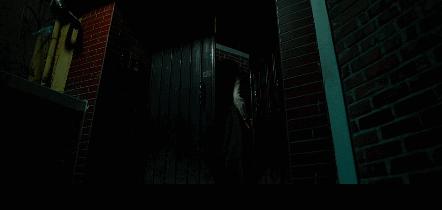 我把妹妹反锁在家，就出门喝酒去了：韩国电影无尿点系列