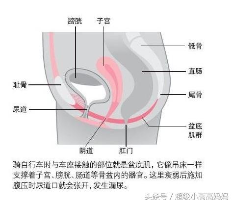 孕期凯格尔运动的正确做法,孕期凯格尔运动操