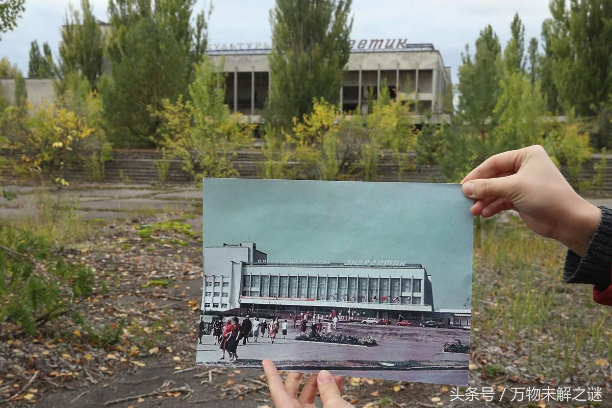 广岛原子弹爆炸幸存者平均寿命,广岛人均寿命