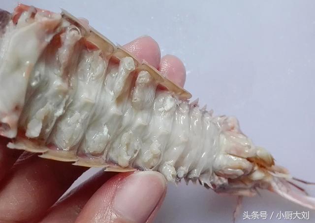 皮皮虾里面有一个洞,皮皮虾的外壳上有疙瘩