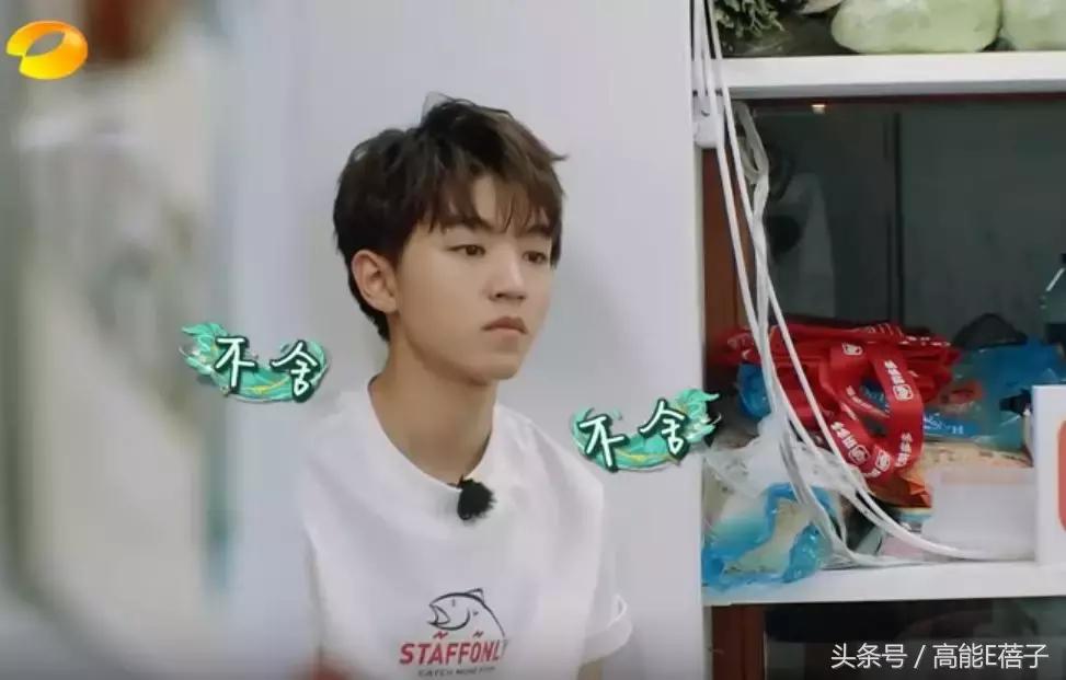 如果养成系爱豆都长成苏有朋，那该多好