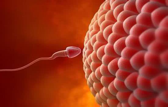 为啥想怀孕的怀不上,为什么想怀孕的时候又怀不上了