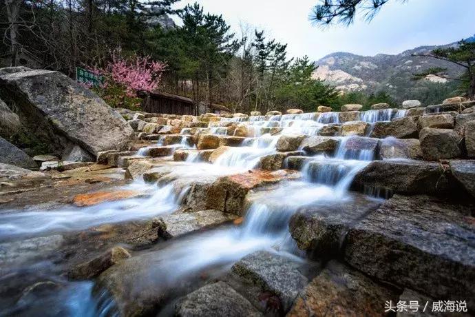 威海赏樱最佳打卡地,威海几月份去风景最好看