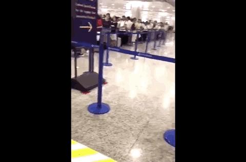 代购彻底凉了！最强审计真的来了！