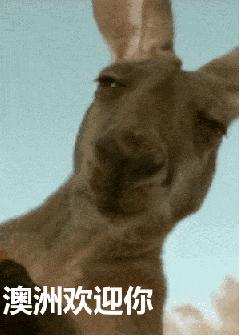 小仙女怎么能没有仙女裙呢,设计感小众仙女裙