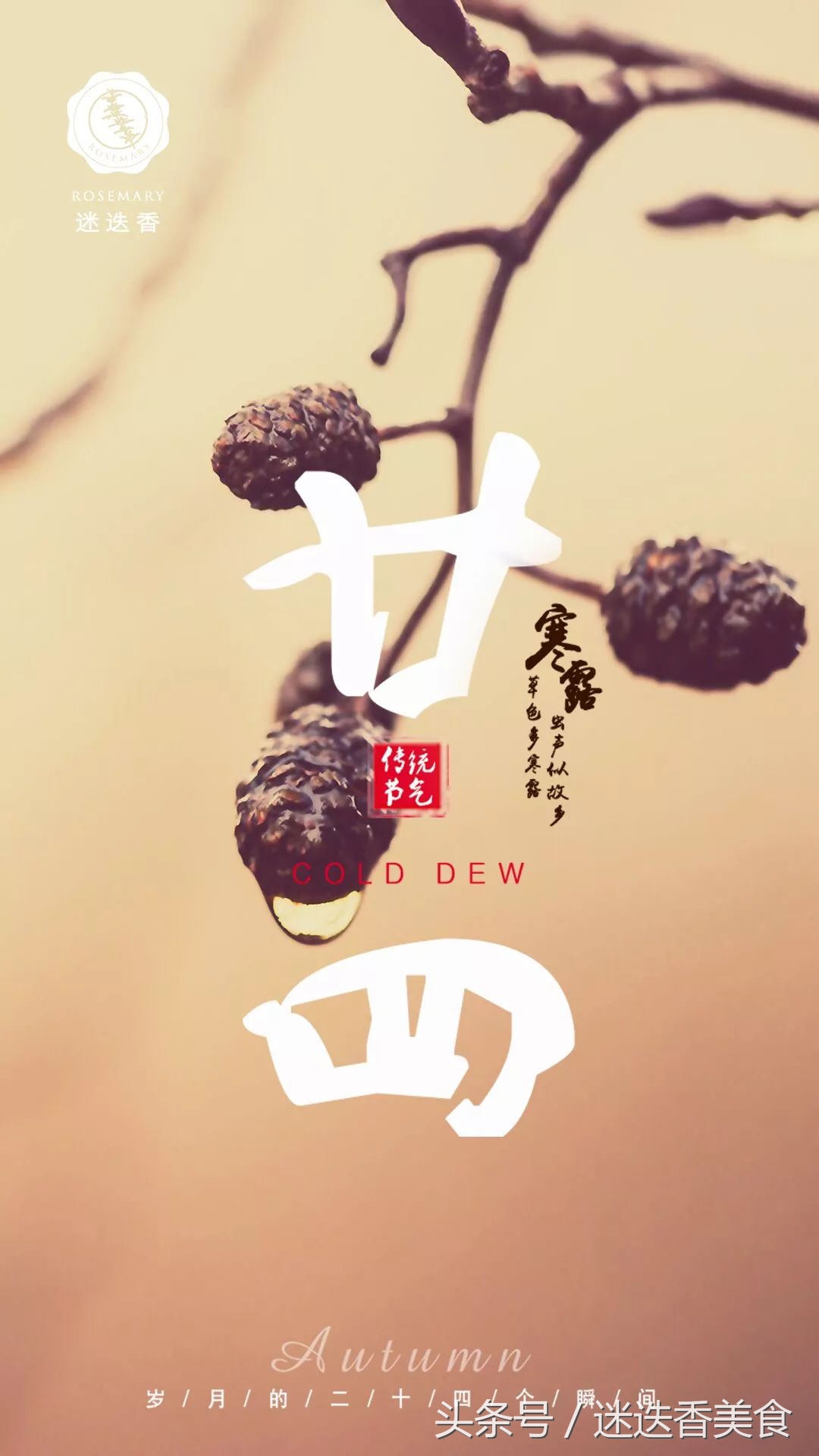 秋景萧瑟也能精致优雅，她这样把晚秋过得有声有色！