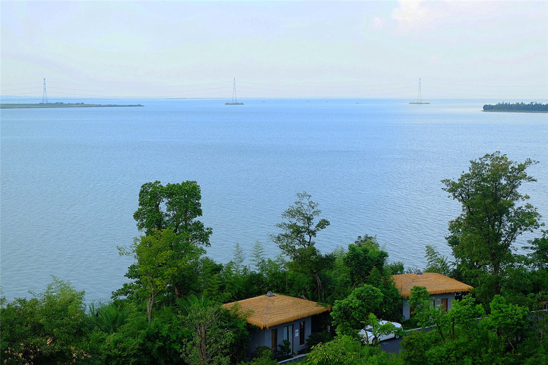 游园赏花品美食,游园赏景快乐游玩