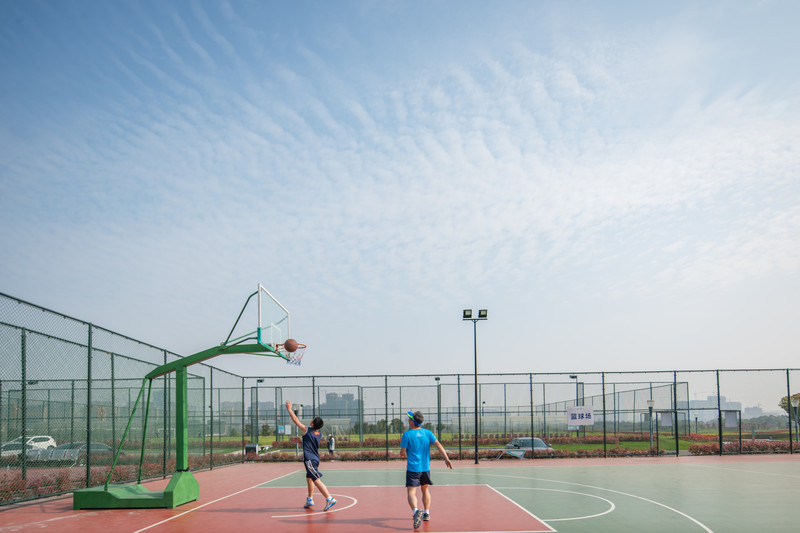 游园赏花品美食,游园赏景快乐游玩