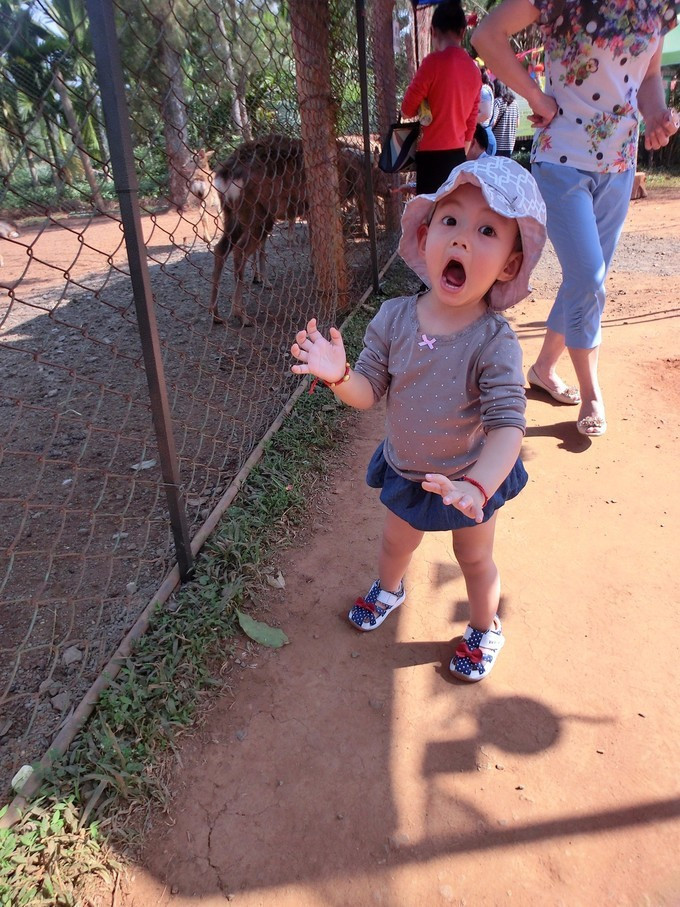 全家人三亚旅游,全家人游海南三亚旅行照片