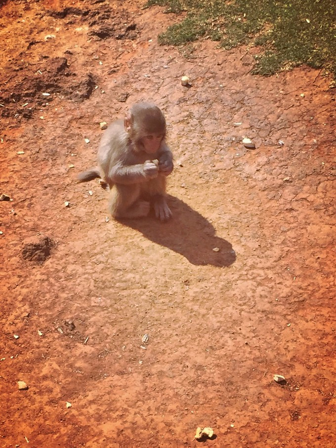 全家人三亚旅游,全家人游海南三亚旅行照片