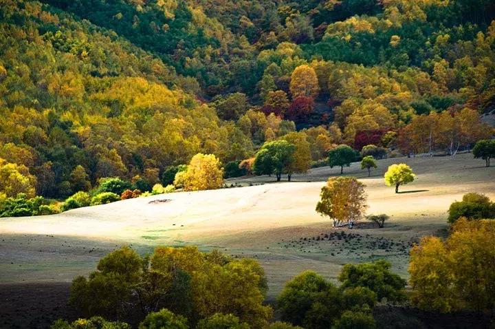 草原风光宛如油画 (呼伦贝尔大草原美图)