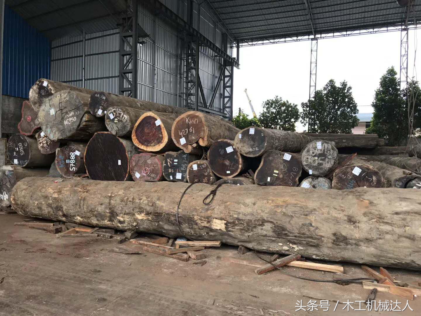 做原木门要哪些设备,原木门型号