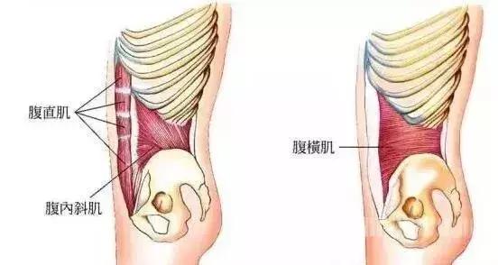 只要24小时教你轻松告别小肚腩,大肚子水桶腰一招解决