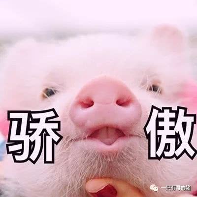 扒一扒那些好用的面膜,盘点几款难用的面膜