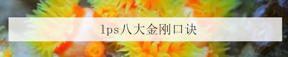 鱼缸里的鬼畜担当—海百合