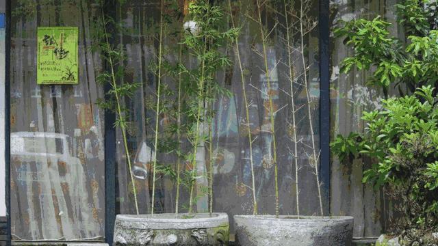 深圳逛吃24小时,深圳逛吃的地方排名