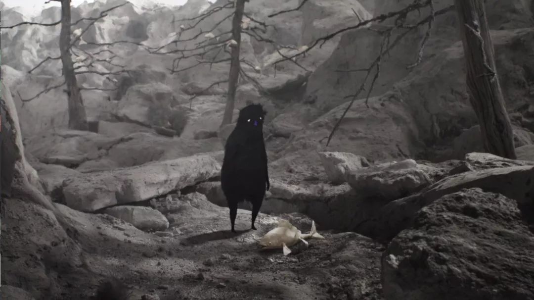 奥斯卡最佳动画短片2022拳击芭蕾,适合儿童看的奥斯卡最佳动画短片