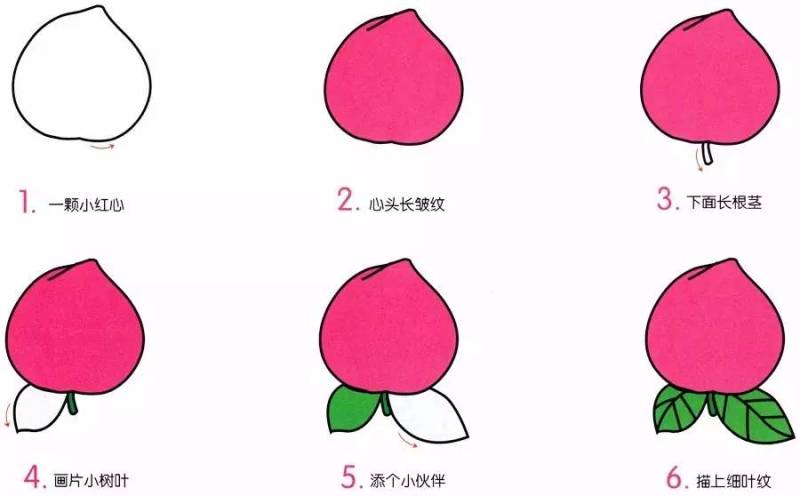 英语水果手抄报简笔画,紫色水果有哪些简笔画