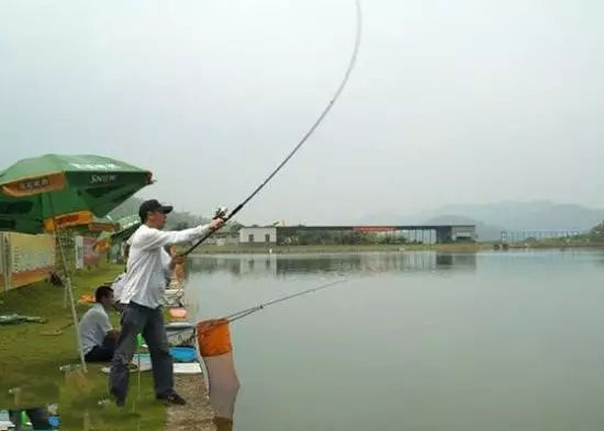 新手必看钓鱼小常识,微信最强钓鱼人新手攻略