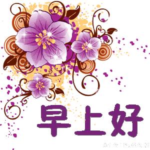 花开久久早安问候语,早安好运久久的句子