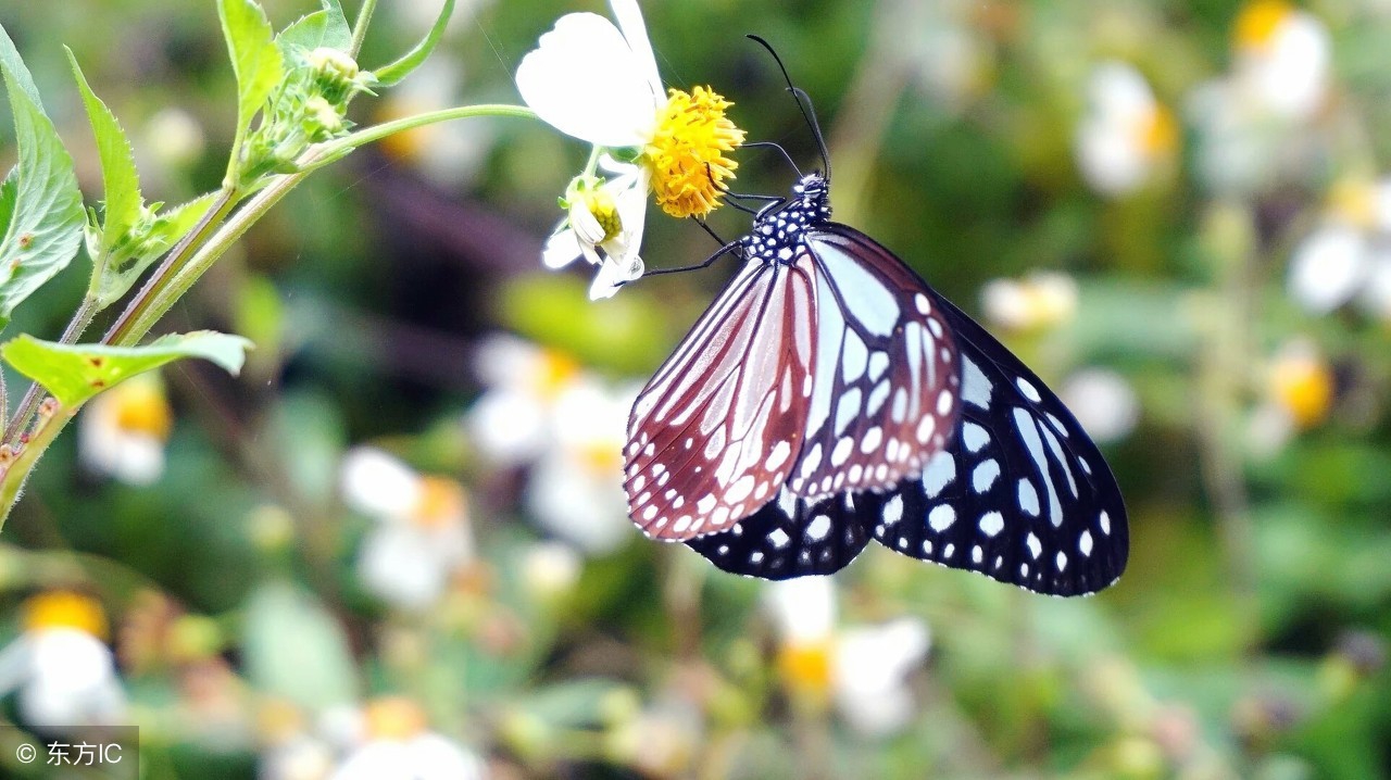 适合发朋友圈的经典句子英语短句,适合发朋友圈幽默的情话句子