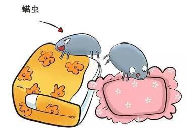 螨虫进入了体内如何清除,螨虫用什么方法可以取出来
