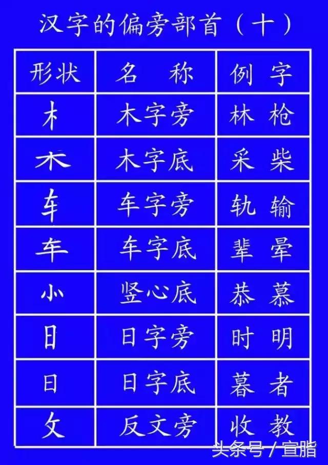 权威专家教你正确的汉字笔顺技巧,专家揭秘汉字正确的笔顺技巧