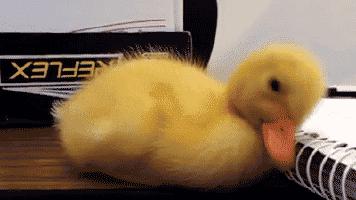 一直用美白产品的为什么不白,为什么市面上的美白产品都没效果