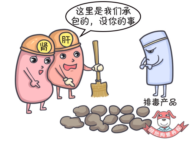 足贴减肥可信吗,足贴真的能排毒瘦身吗