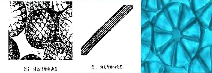 海岛纤维,海岛纤维和橘瓣纤维区别