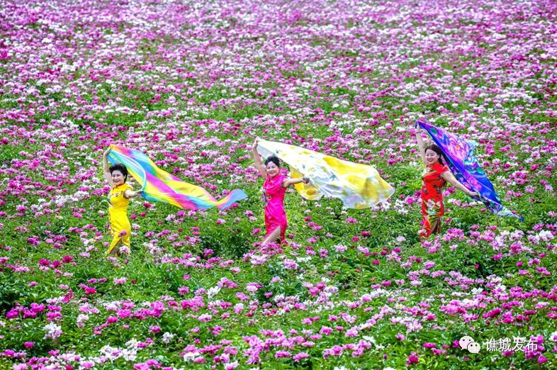 谯城区最美乡村,谯城区美丽乡村图集