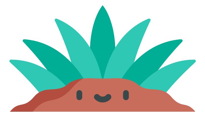 武汉汉口江滩芦苇花,秋高气爽去汉口江滩赏花