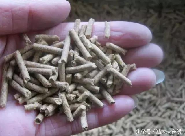 全价料浓缩料预混料哪个喂猪好,饲料是全价料好还是浓缩料好