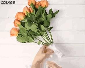 马桶堵了小妙招简单易学,马桶堵了小妙招在这里