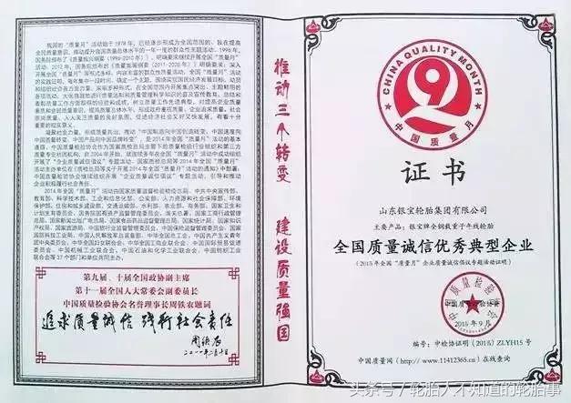 中国企业家轮胎,民营银宝轮胎