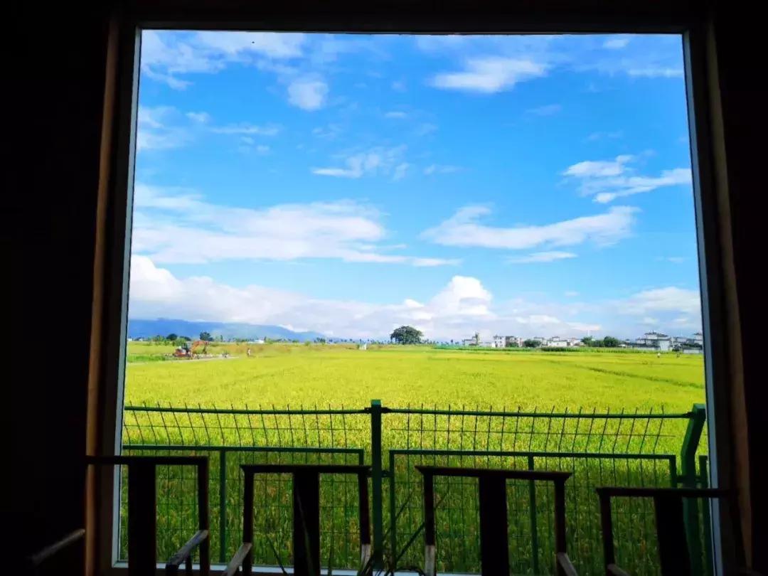 大理民宿经营的问题 (大理民宿什么时候恢复营业)