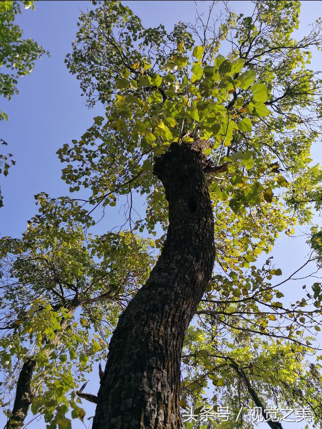 金秋最美的家园,金秋农家院