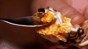 清远吃大闸蟹哪个店好,清远吃货攻略