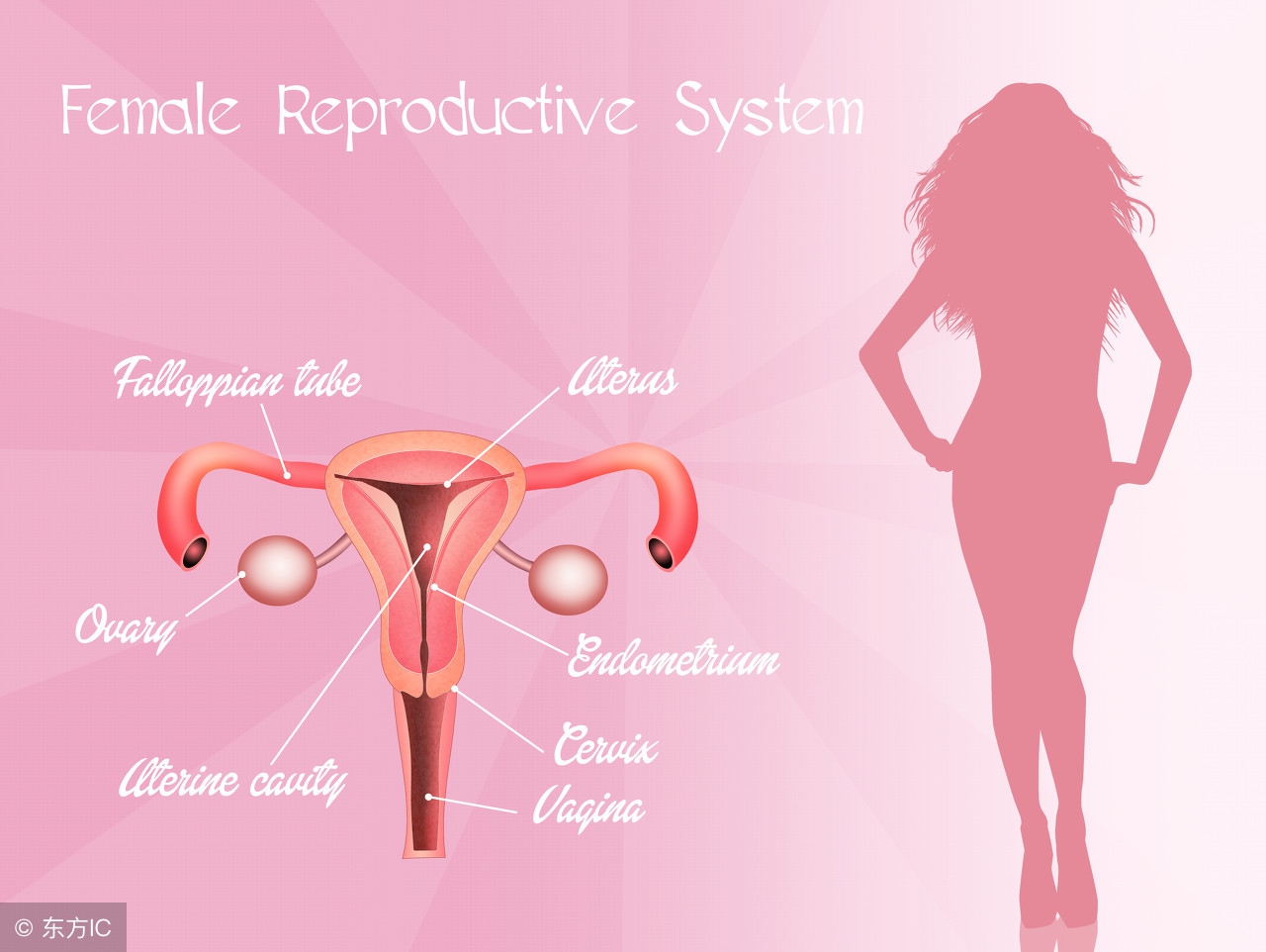 宫颈炎发病因素有哪些？宫颈炎要注意什么