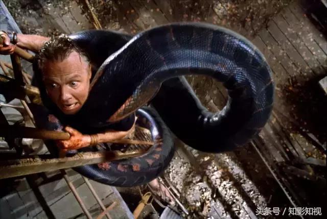 六部超经典怪兽电影第十期,史前最强十部怪兽电影