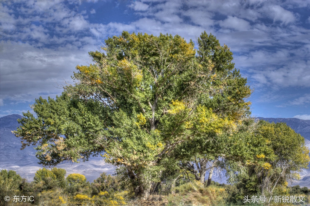 故乡固原，那些打骂过学生却依然被学生念念不忘的老师们