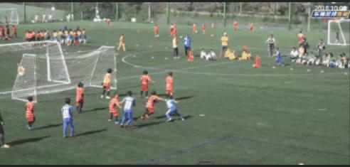 中国伊布是谁,中国伊布新疆