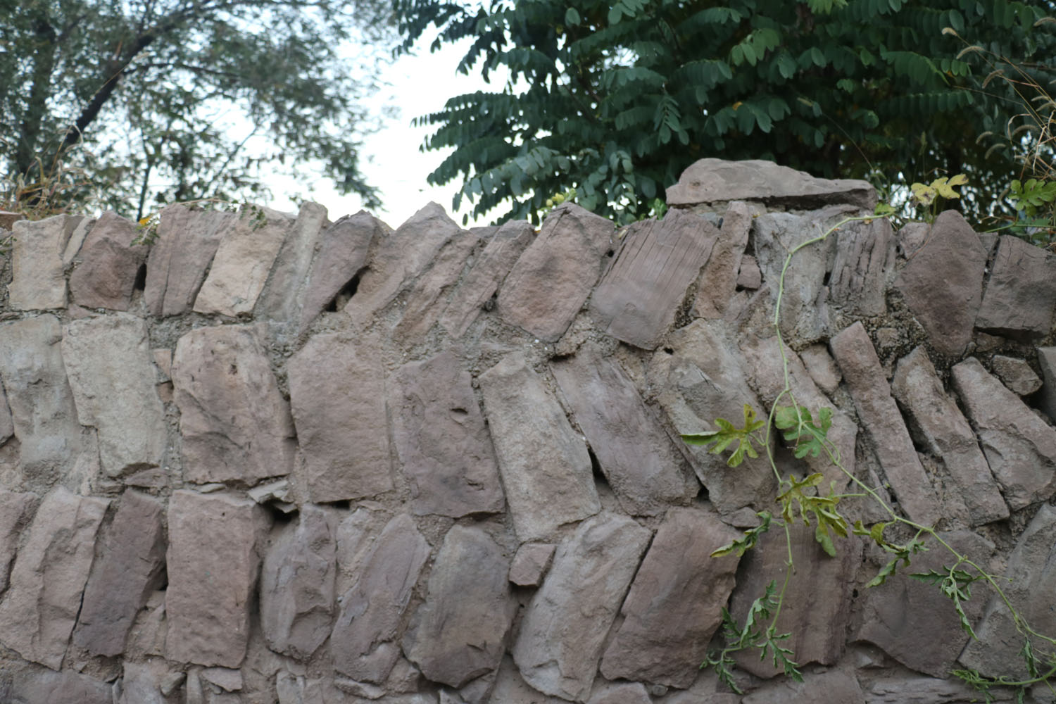 碛口古镇的油条和豆腐脑