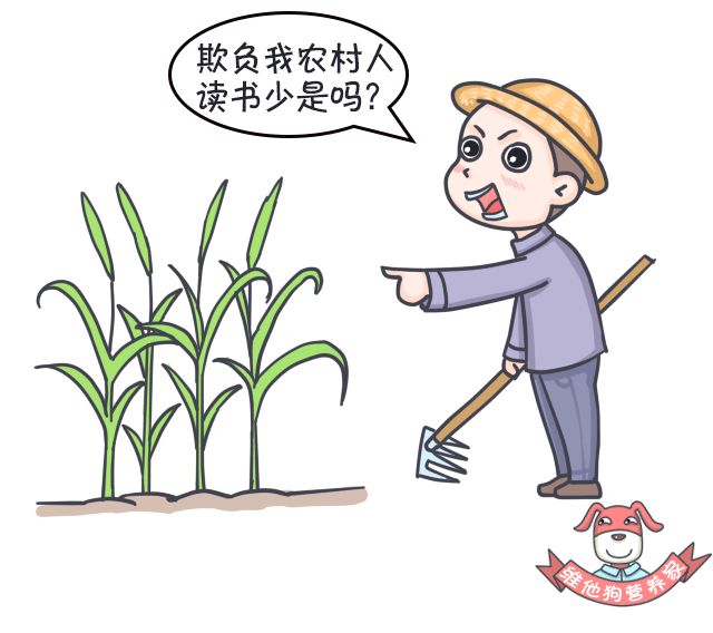 足贴减肥可信吗,足贴祛湿减肥靠谱吗